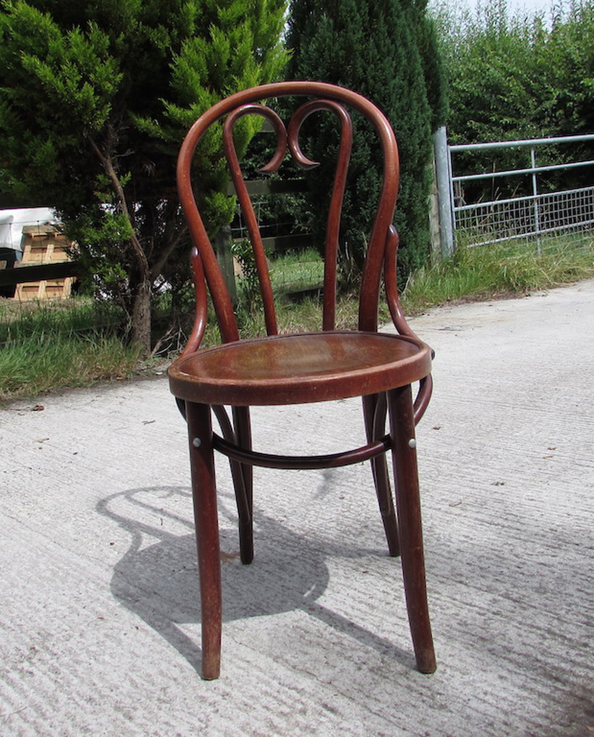 old bentwood chairs