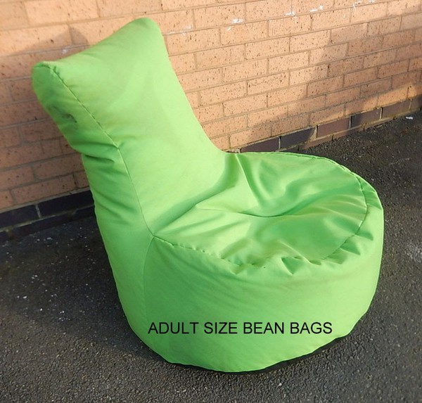 Adult Size Bean Bags 18