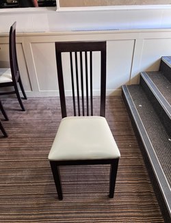 Restaurant Dining Chairs For Sale