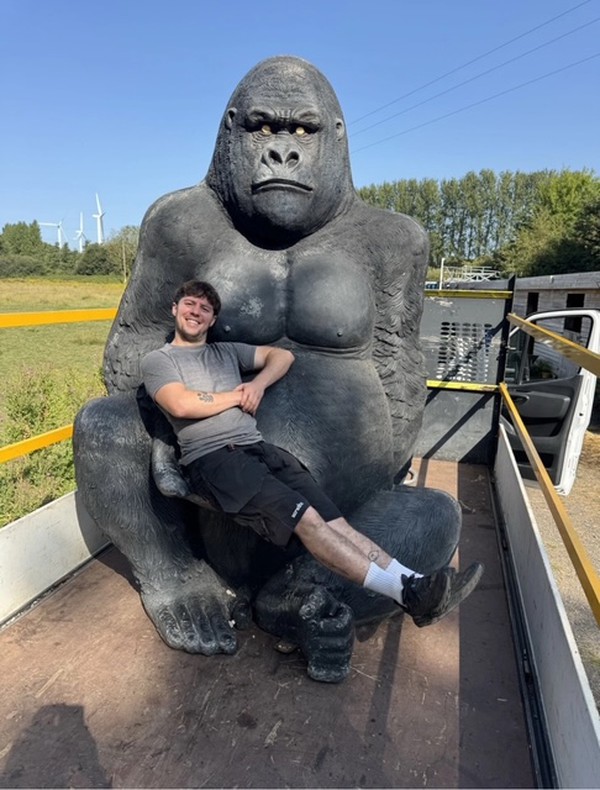 Giant Silverback Gorilla