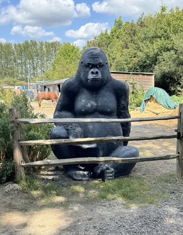 Resin Silverback Gorilla for sale