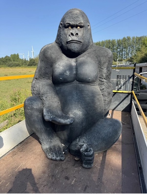 Silverback Gorilla for sale
