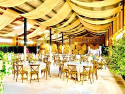 Cross backed wedding chairs for sale