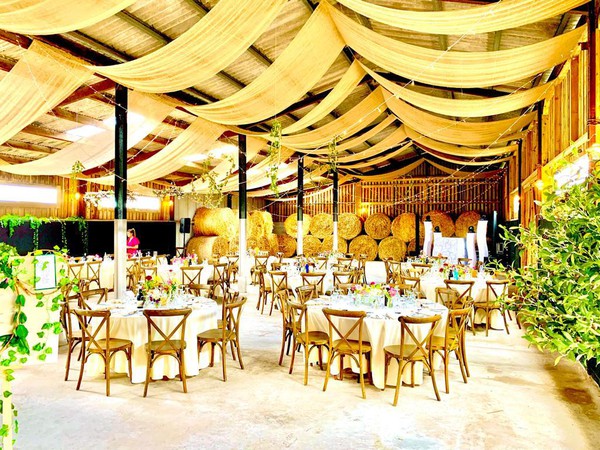 Cross backed wedding chairs for sale