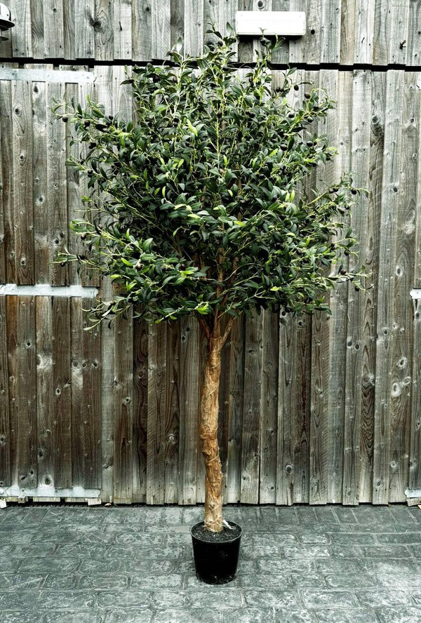 7ft Faux Olive Tree