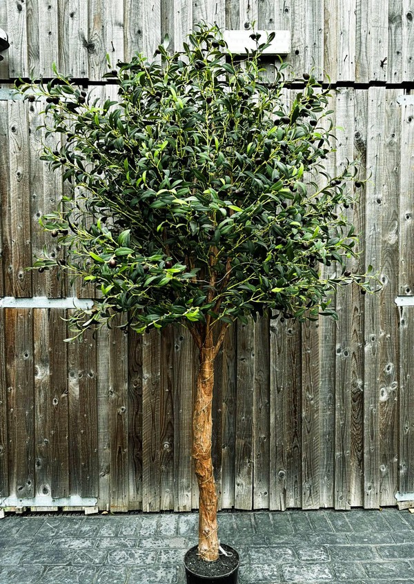 7ft Faux Olive Tree For Sale