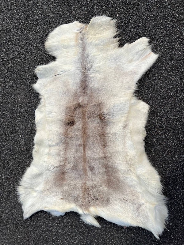 Venue dressing Authentic Reindeer Hides