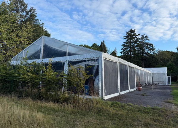 Secondhand Wedding Marquees