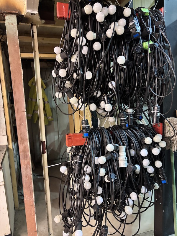 Festoon lighting