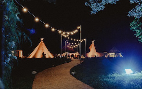 Festoon Lighting For Sale