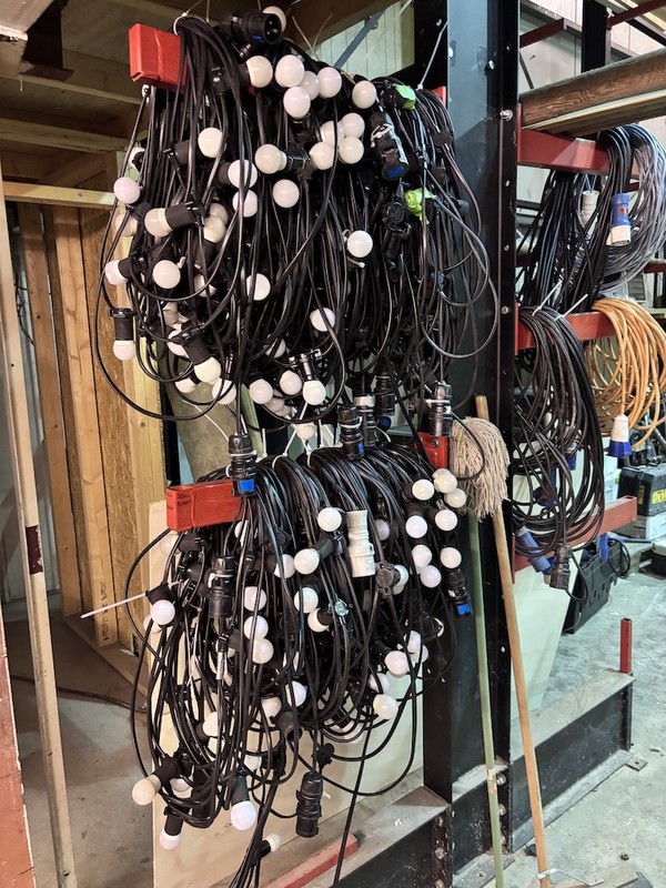 Festoon Lights