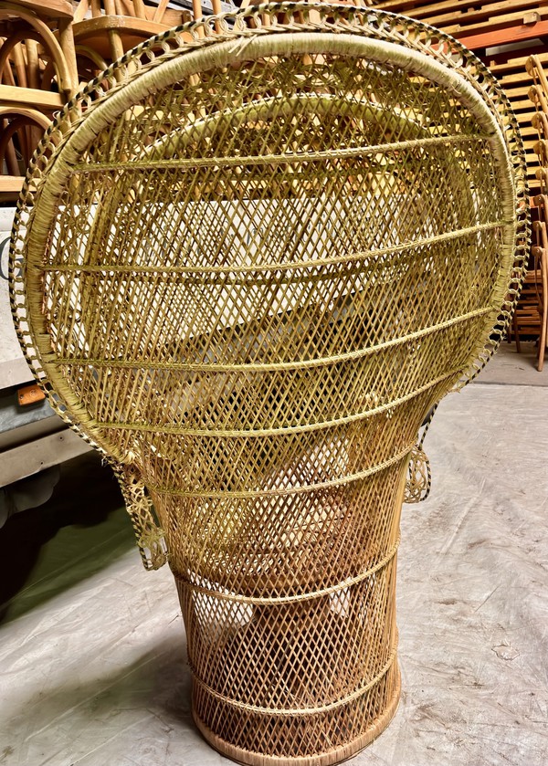 Hippy Peacock chair for sale