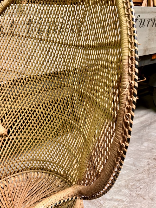 Peacock chair in wicker