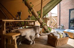 5x Reindeer Hides For Sale