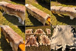 Venue dressing reindeer hides