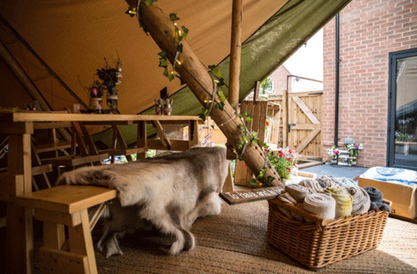 5x Reindeer Hides For Sale