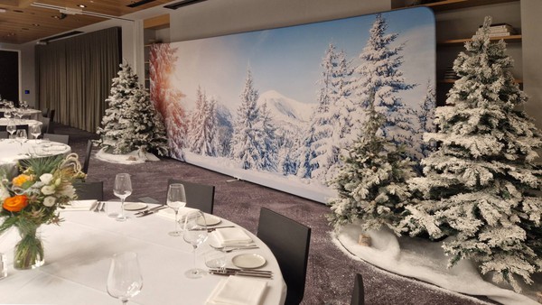 Christmas / Wintry Forest Photo Scene