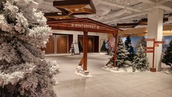 Alpine Lodge Effect Arches / Winterfest doorway
