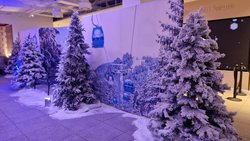 Winter / cable car backdrops