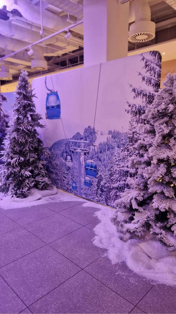 Christmas tree / cable car