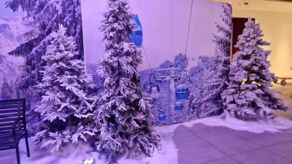 Christmas tree / winter, backdrops