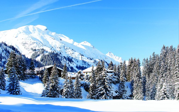 Alpine skiing backdrop