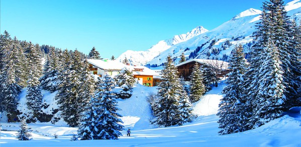 Wintry Printed Backdrops – Large-Scale Scenic Walls
