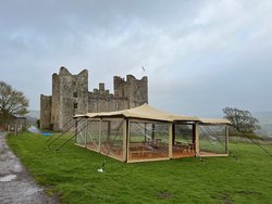 Stretch Tent Walls For Sale