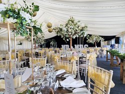Ivory pleated marquee lining