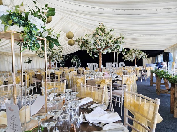 Ivory pleated marquee lining