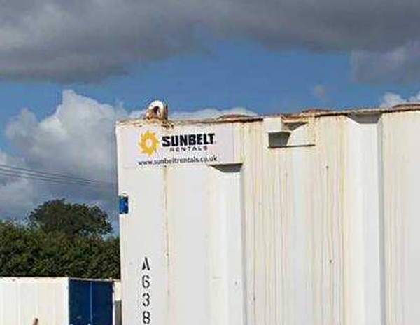 Sunbelt tool store