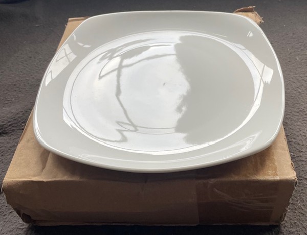 Unused 1000x Square Plates