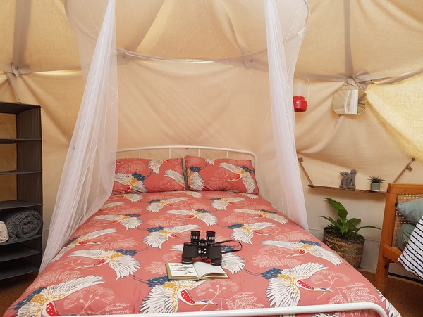 Geodesic Glamping Domes