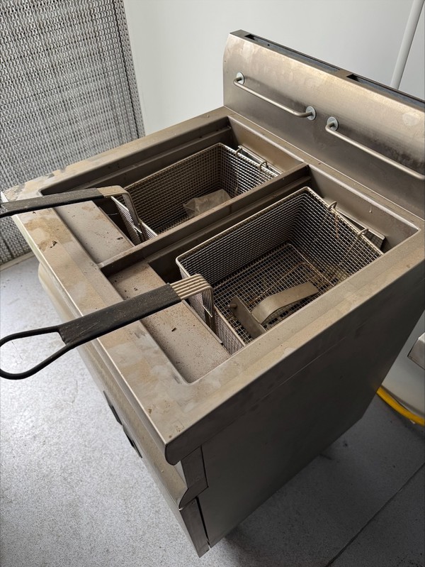 Lincat Fryer