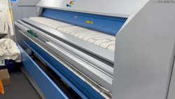Electrolux Rotary Iron For Sale