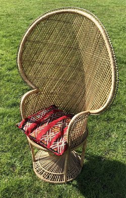 Peacock Chair