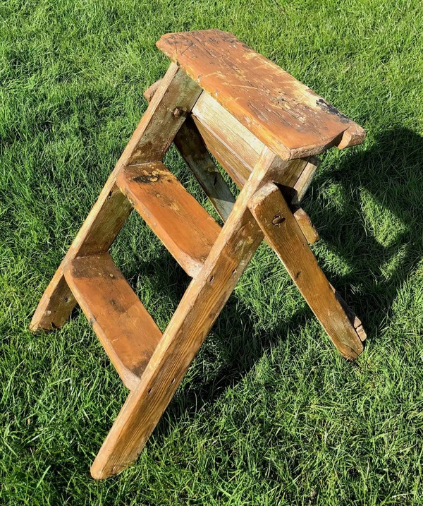 Step Ladders (2ft Tiny)