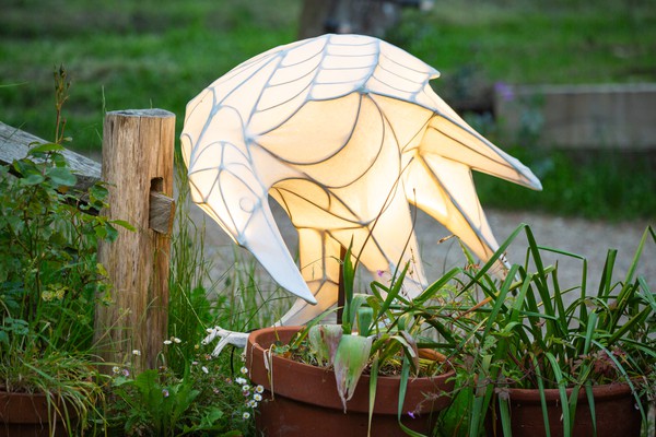 Crow lantern for luminaire light festival event