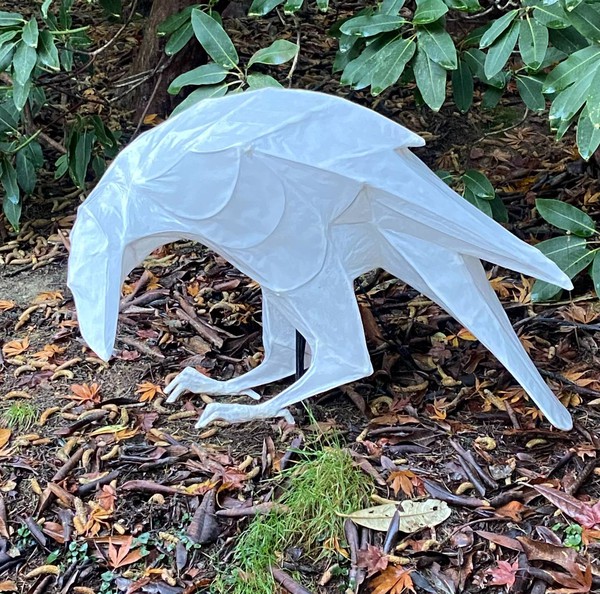 Crow Luminaire
