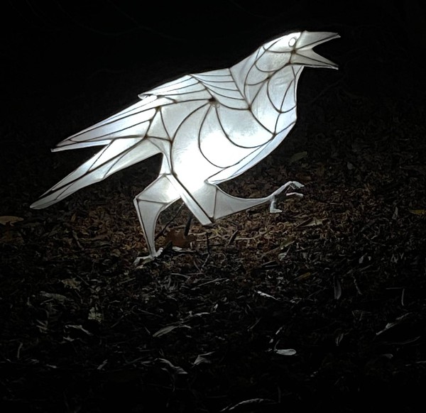 Light up crow lantern