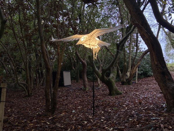 Flying crow lights