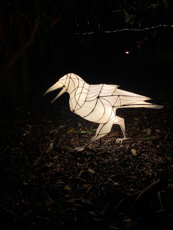 Lantern crows for Lumieres
