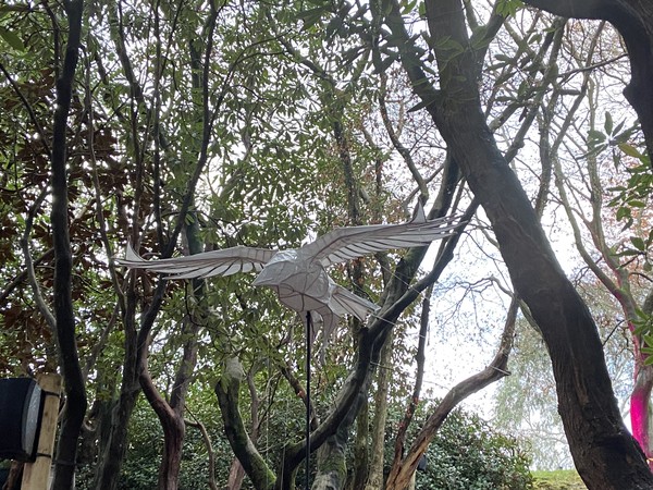 Lumieres of a flying crow