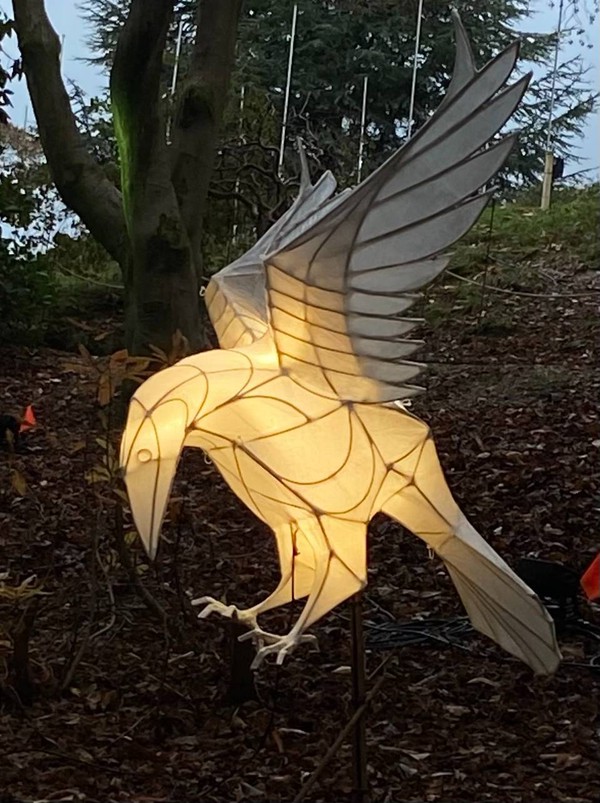 Lumieres of Crows