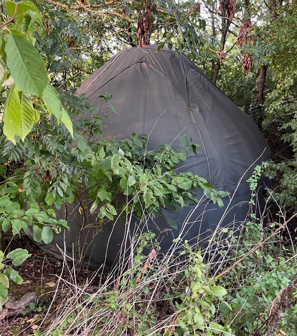 Yurt with green covers hiding in the woods