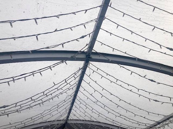Curved and clear roof marquee