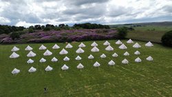 Glamping business for sale