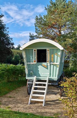 Secondhand Stunning Renovated Gypsy Vardo Wagon For Sale