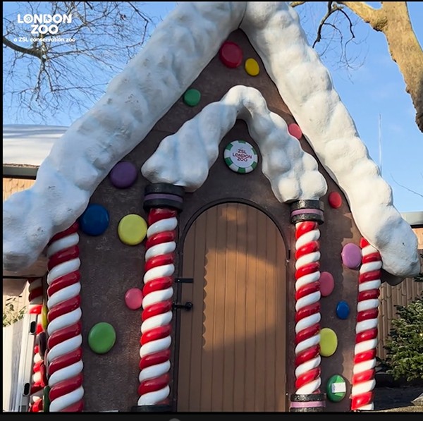 Xmas Candy Grotto Display