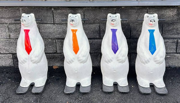 Bear ice skate aids